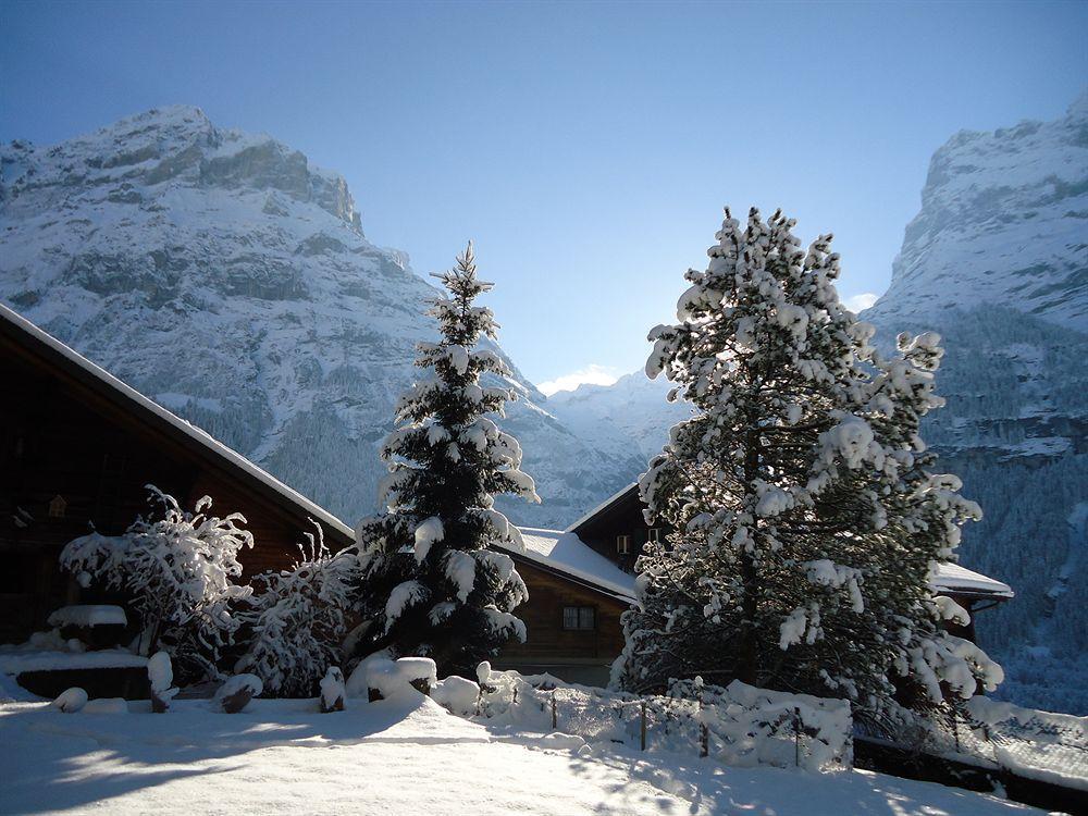 Tschuggen Apartment - No Kitchen Grindelwald Exterior photo