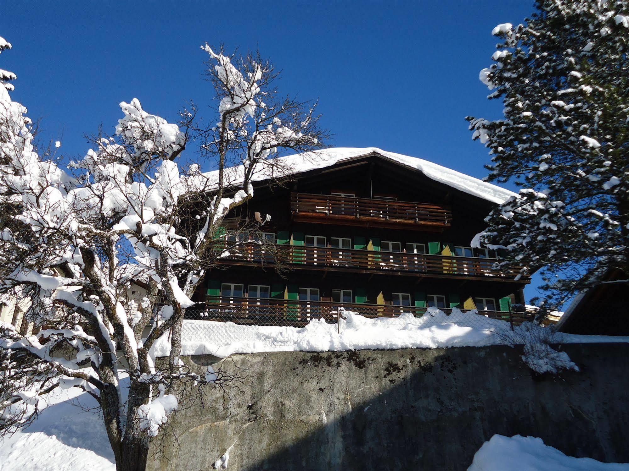 Tschuggen Apartment - No Kitchen Grindelwald Exterior photo