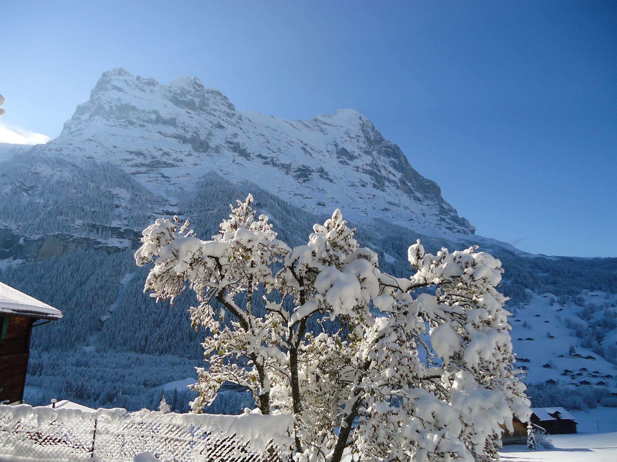 Tschuggen Apartment - No Kitchen Grindelwald Exterior photo