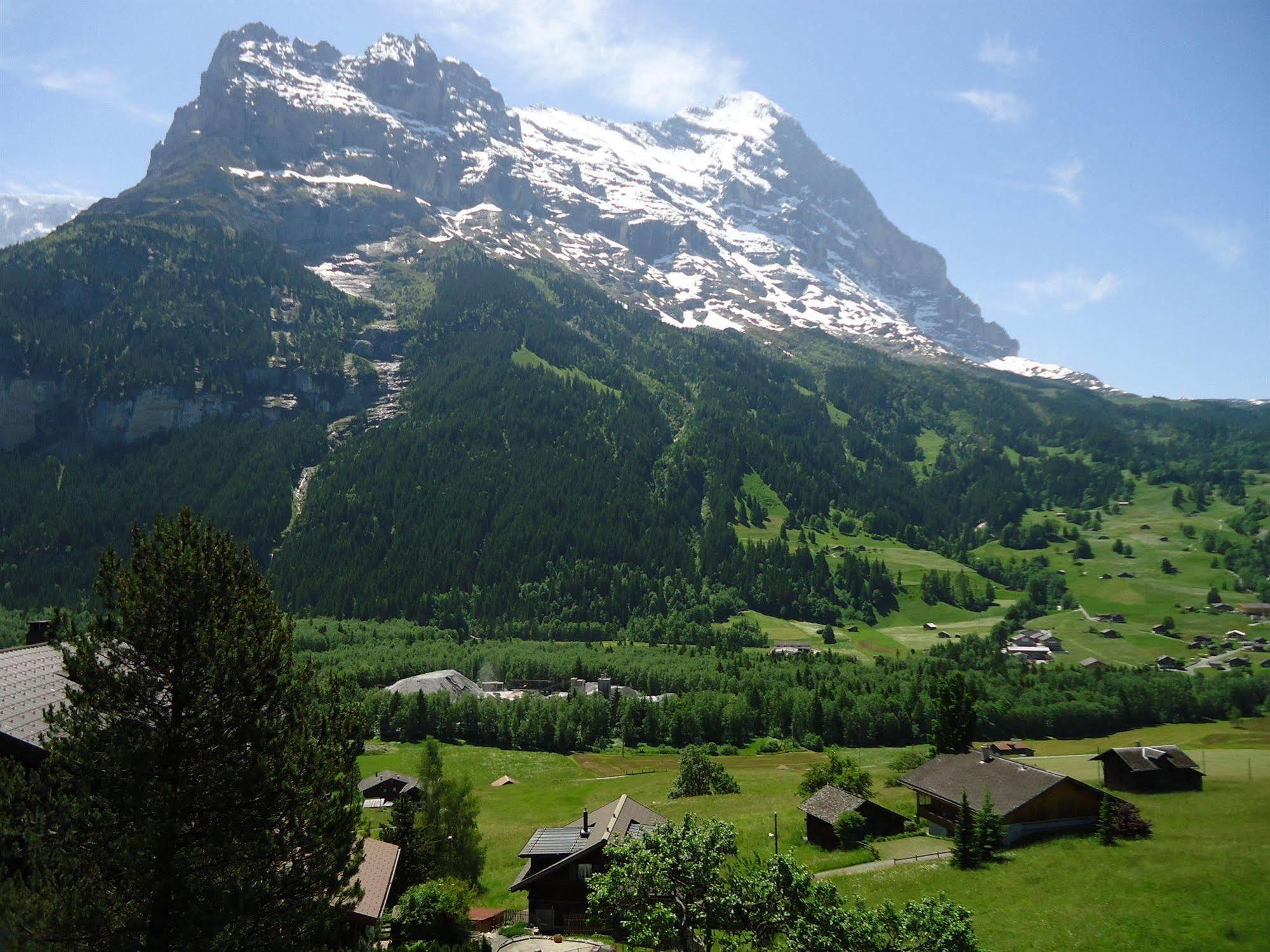 Tschuggen Apartment - No Kitchen Grindelwald Exterior photo